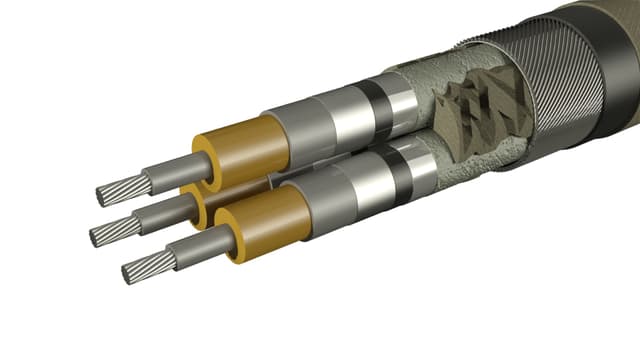 mark image mark image